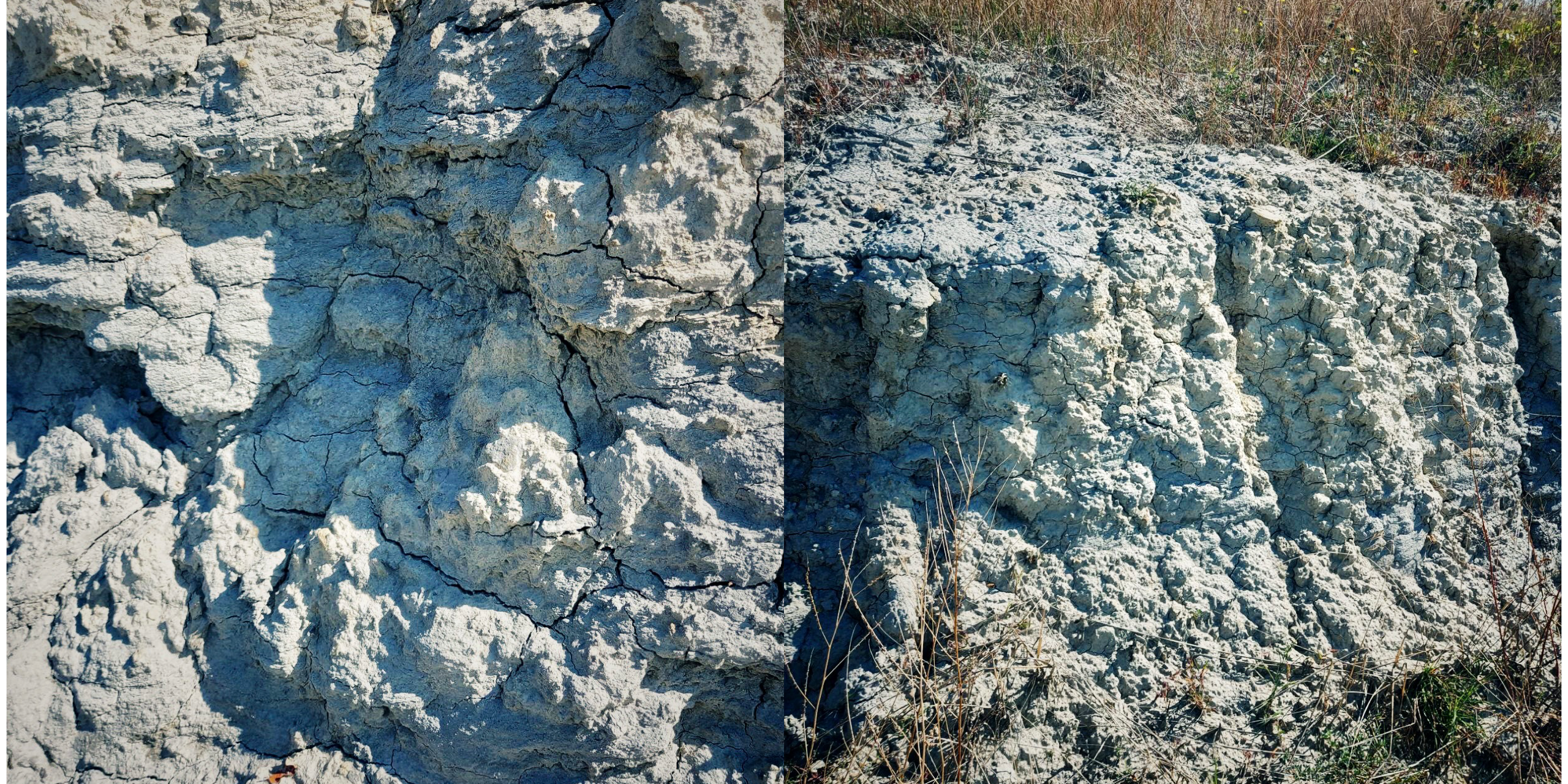 Drink Wines Not Labels (DWNL): la visita in cantina da Alessandro Salvano - Marne Blu