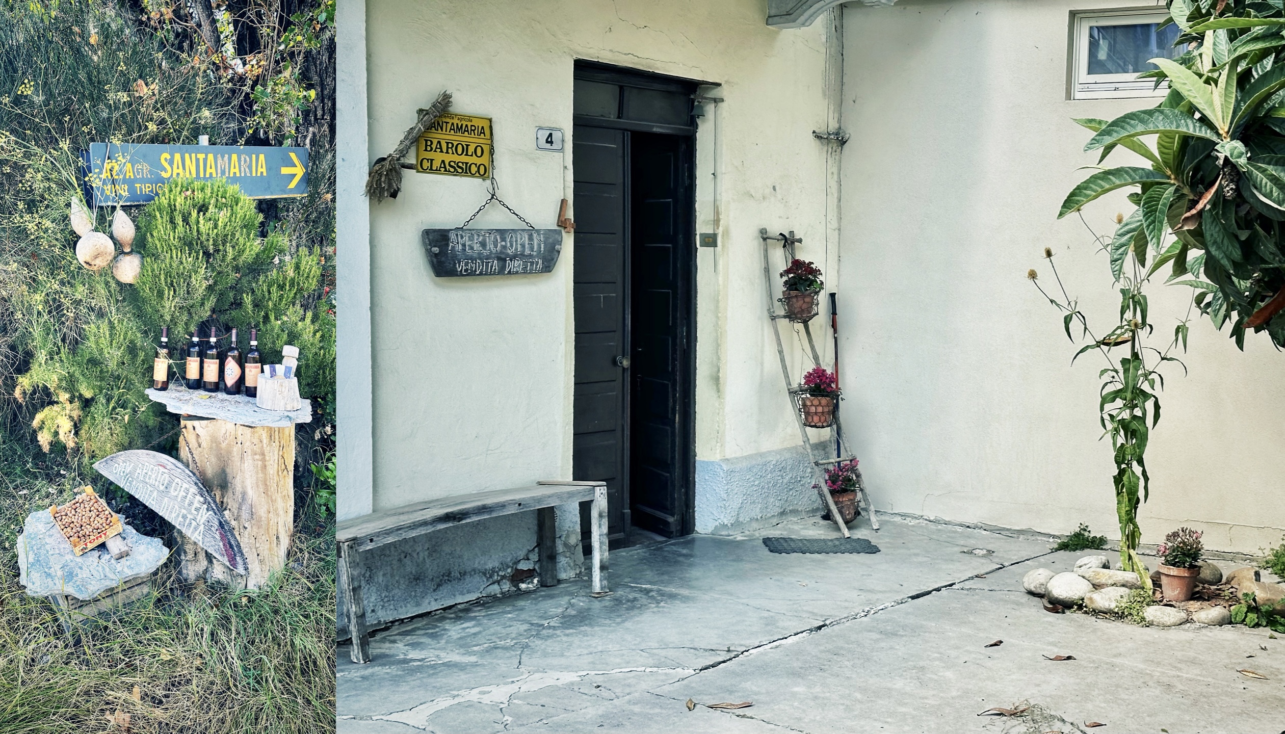 Santamaria, La Morra: una zebra tra i leoni nel Barolo - L'ingresso di cascina Santamaria