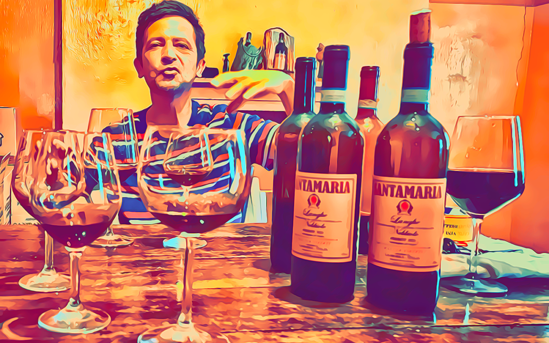 Santamaria, La Morra: una zebra tra i leoni nel Barolo - Cover