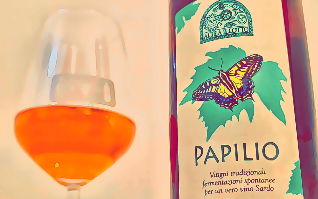 Papilio 2022 di ALTEA ILLOTO: la rivalsa del Nuragus - Cover