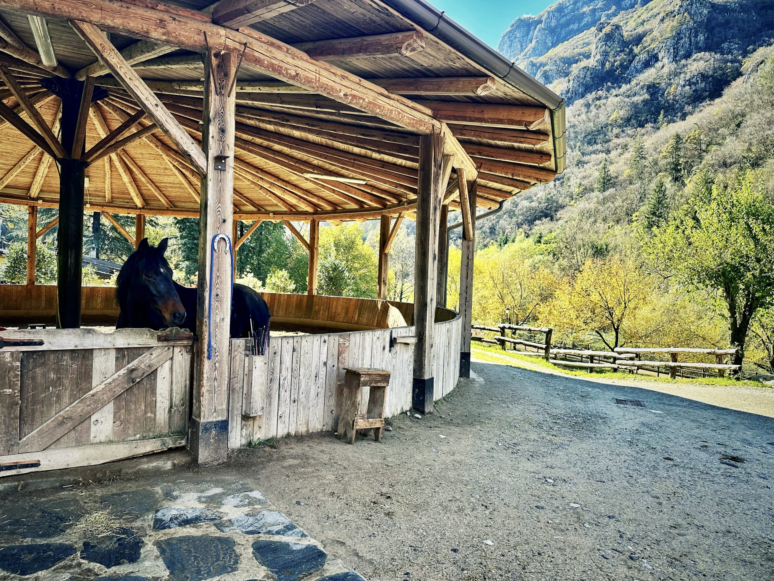 Agriturismo Ferdy Wild, Lenna (BG): l'amore è una cosa semplice, quasi... - Il maneggio