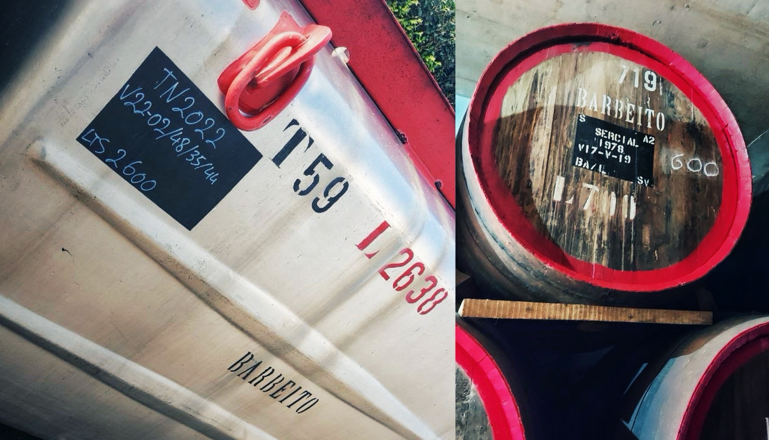 Vinhos BARBEITO, Madeira: la visita in cantina - Cantina