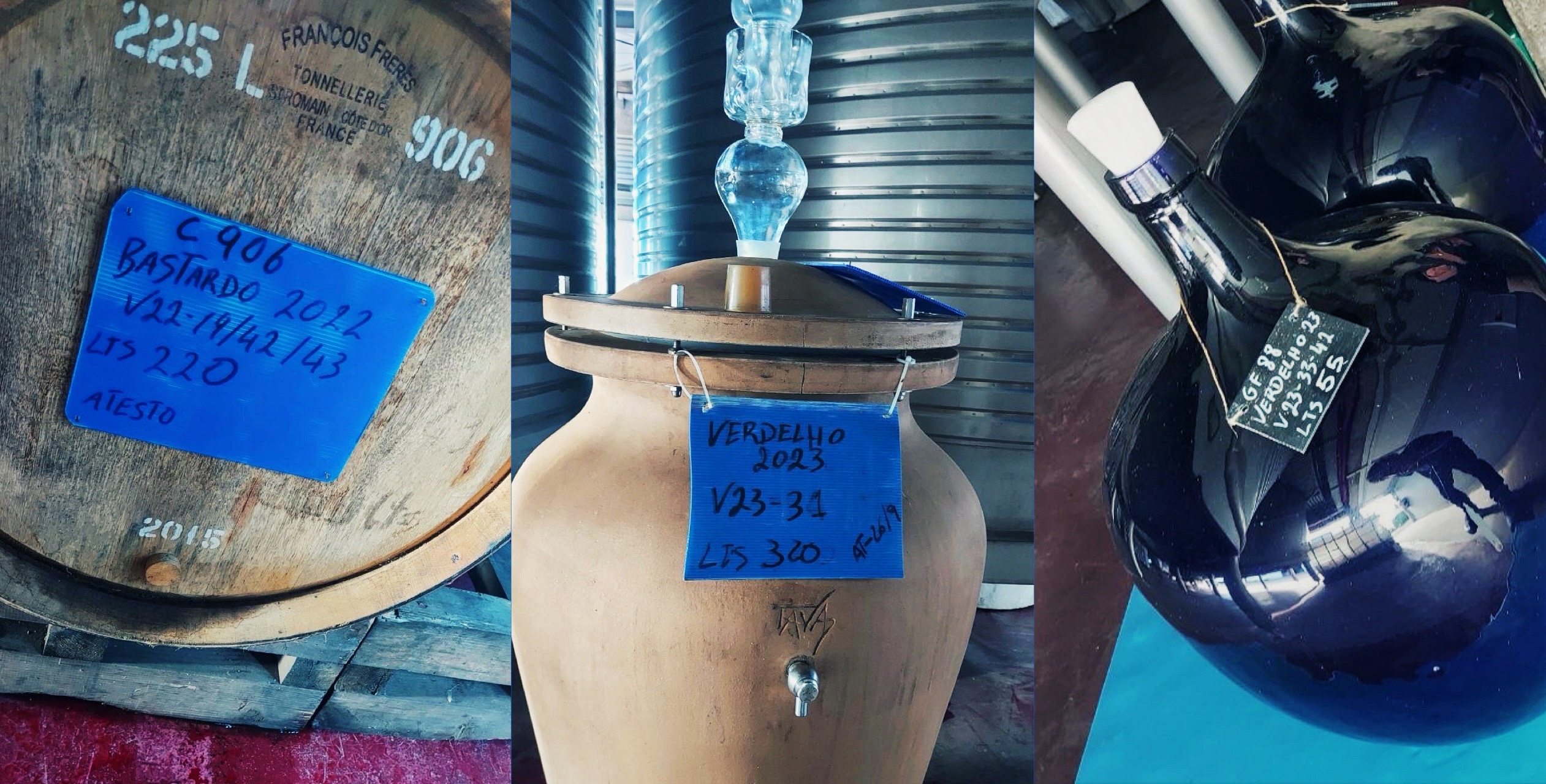 Vinhos BARBEITO, Madeira: la visita in cantina - Cantina #2