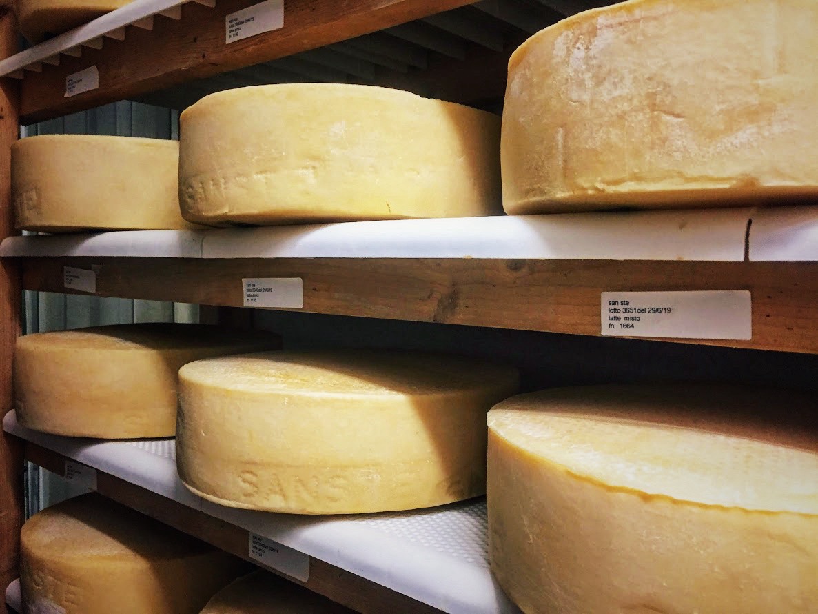 Formaggi liguri guida - San Ste