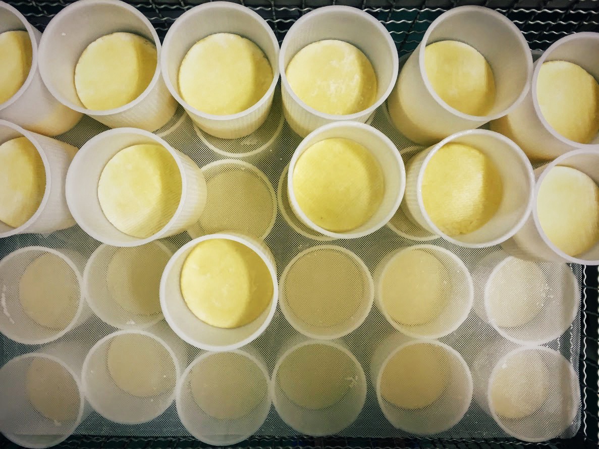 Formaggi liguri guida