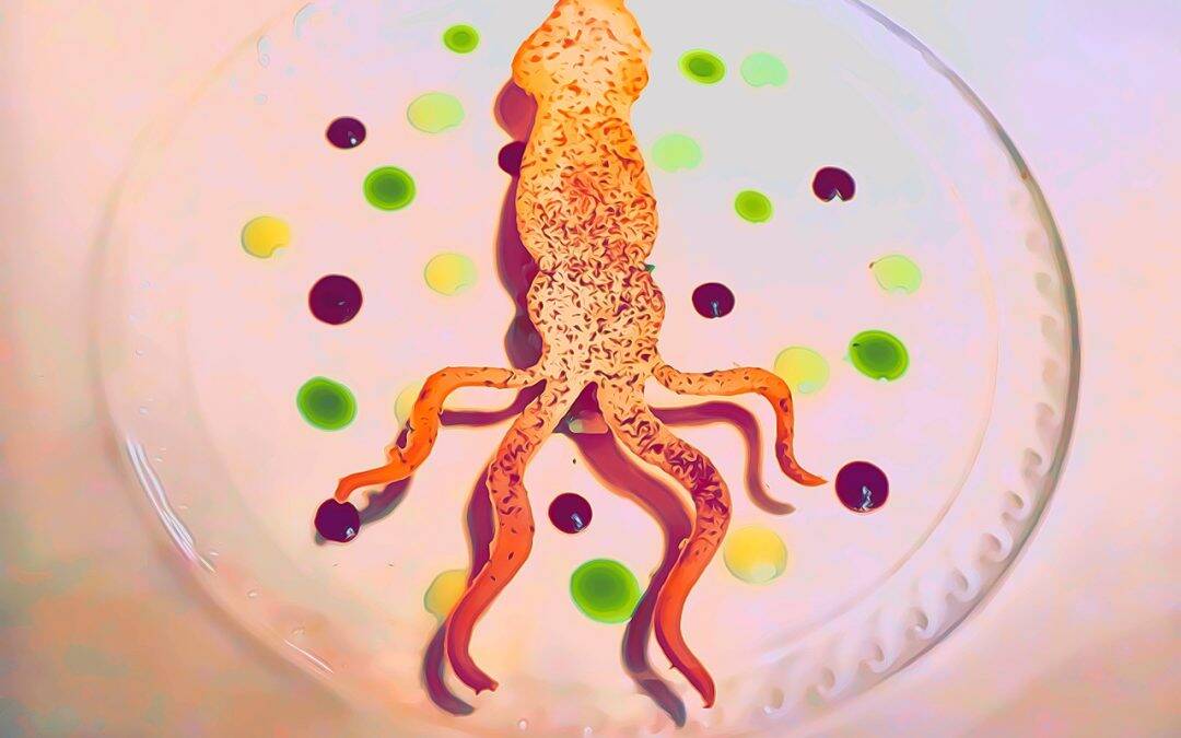 Musica da Tavola #17: LOCALE (Firenze) - Fotografie dal menù PECCATO - Cover