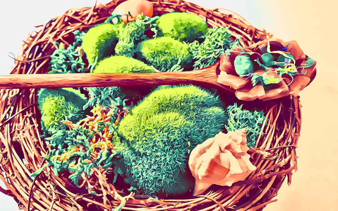 Musica da Tavola #18: SUSTANZA (Napoli) - Fotografie dal menù LUNGO CORSO - Cover