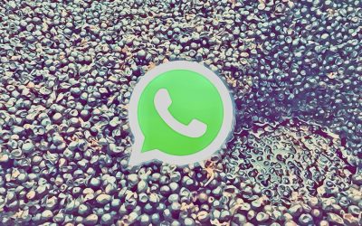 WhatsApp CONFIDENTIAL: ma Fausto Andi come fermenta?