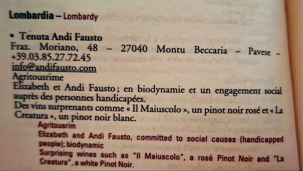 WhatsApp CONFIDENTIAL: ma come cavolo fermenta Fausto Andi? - RED #2