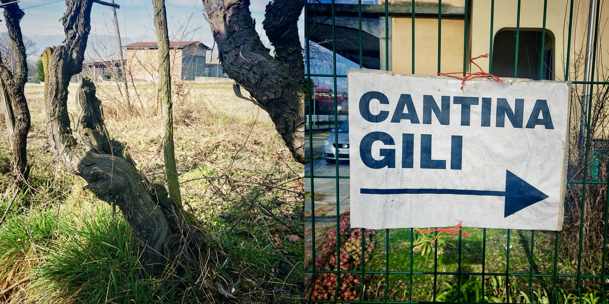 Luca Gili e la sua OFFICINA DEL VINO
