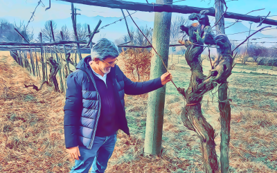 Luca GILI e la sua OFFICINA DEL VINO