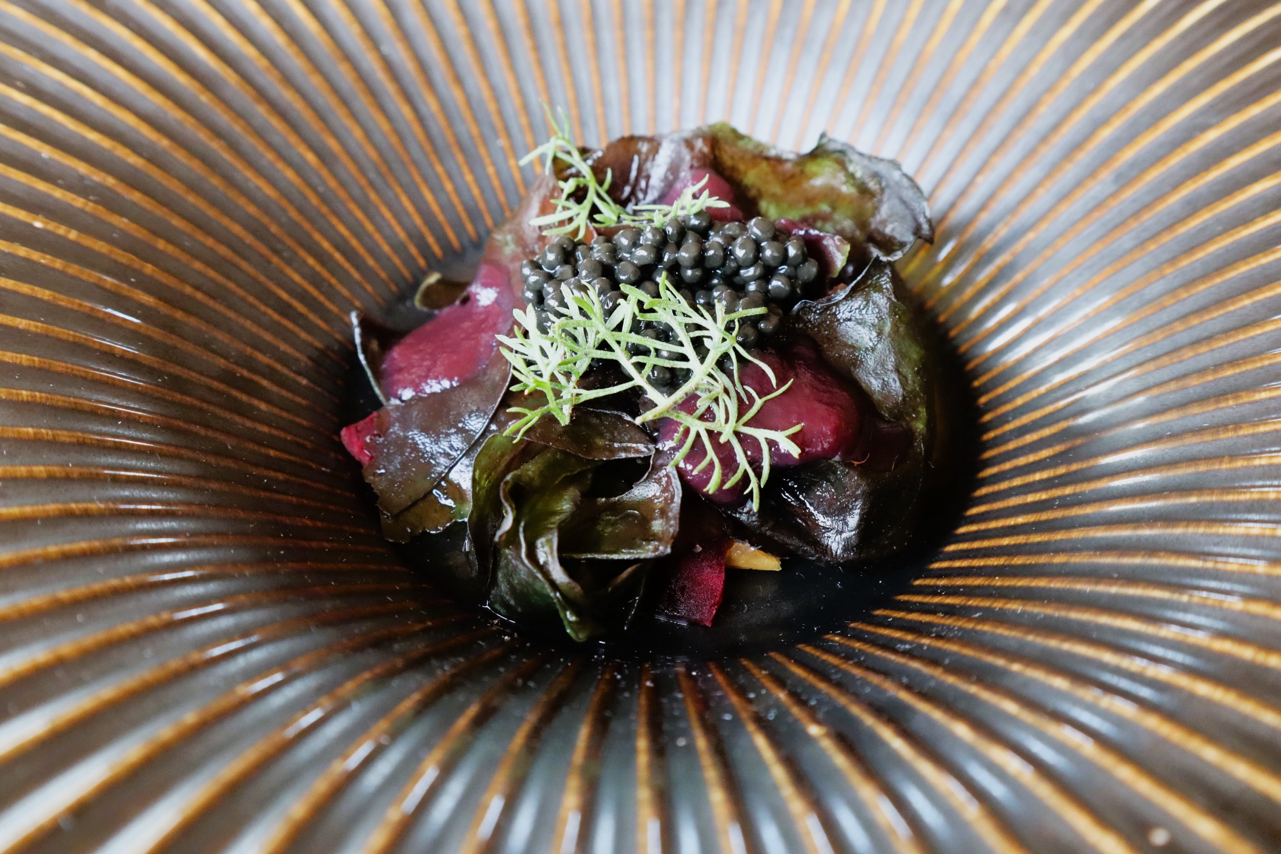 Musica da Tavola #23: LA TANA GOURMET (Asiago - VI) - Fotografie dal menù IN CAMMINO, ESTATE 2024 - Alghe