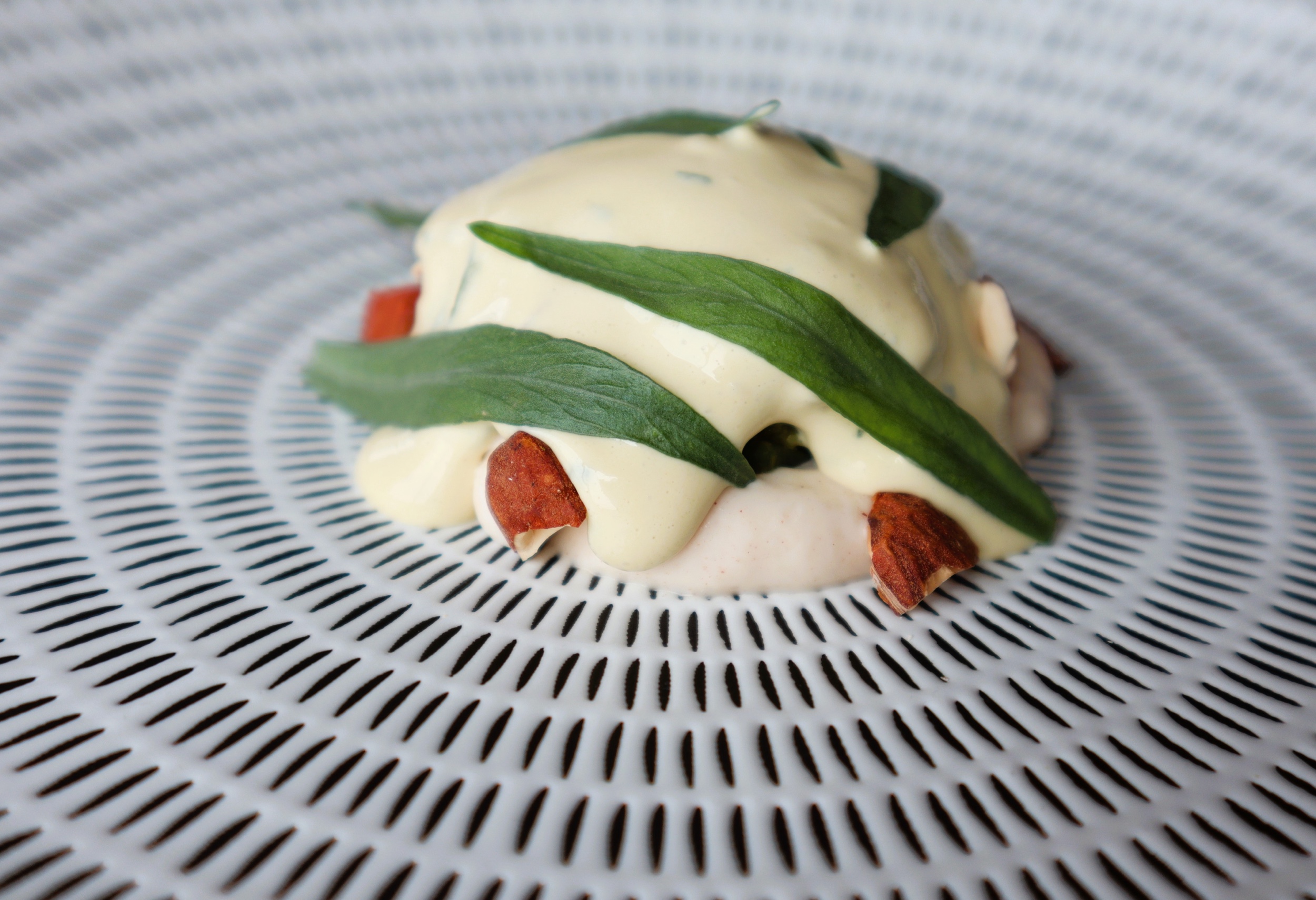 Musica da Tavola #23: LA TANA GOURMET (Asiago - VI) - Fotografie dal menù IN CAMMINO, ESTATE 2024 - Zucchina