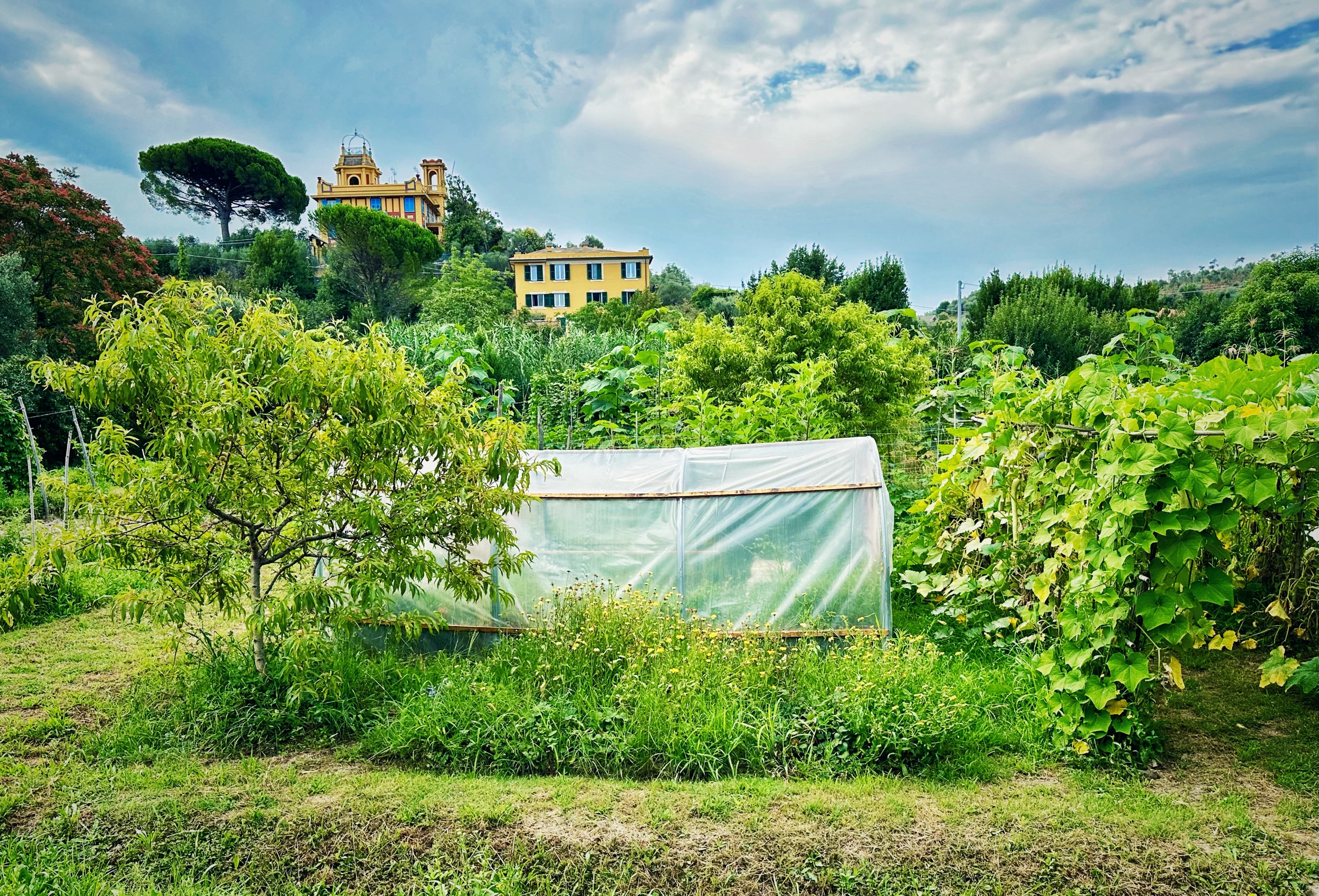 RADICAL FARM: alla scoperta del seme di una piccola rivoluzione naturale in quel di LAVAGNA - Orto