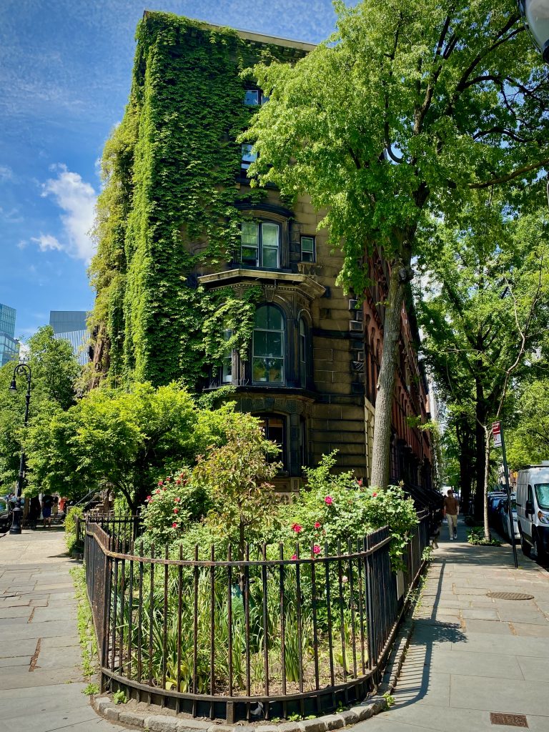 NUEVA YORK STREET FOOD #1: no-GUÍA - East Village