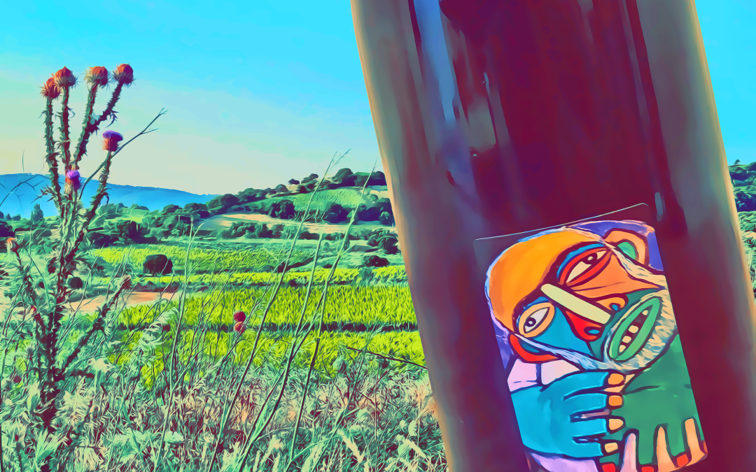 BOBOTTI 2022 di Cantina SANNAS: viaggio a MAMOIADA tra Cannonau e carnevale