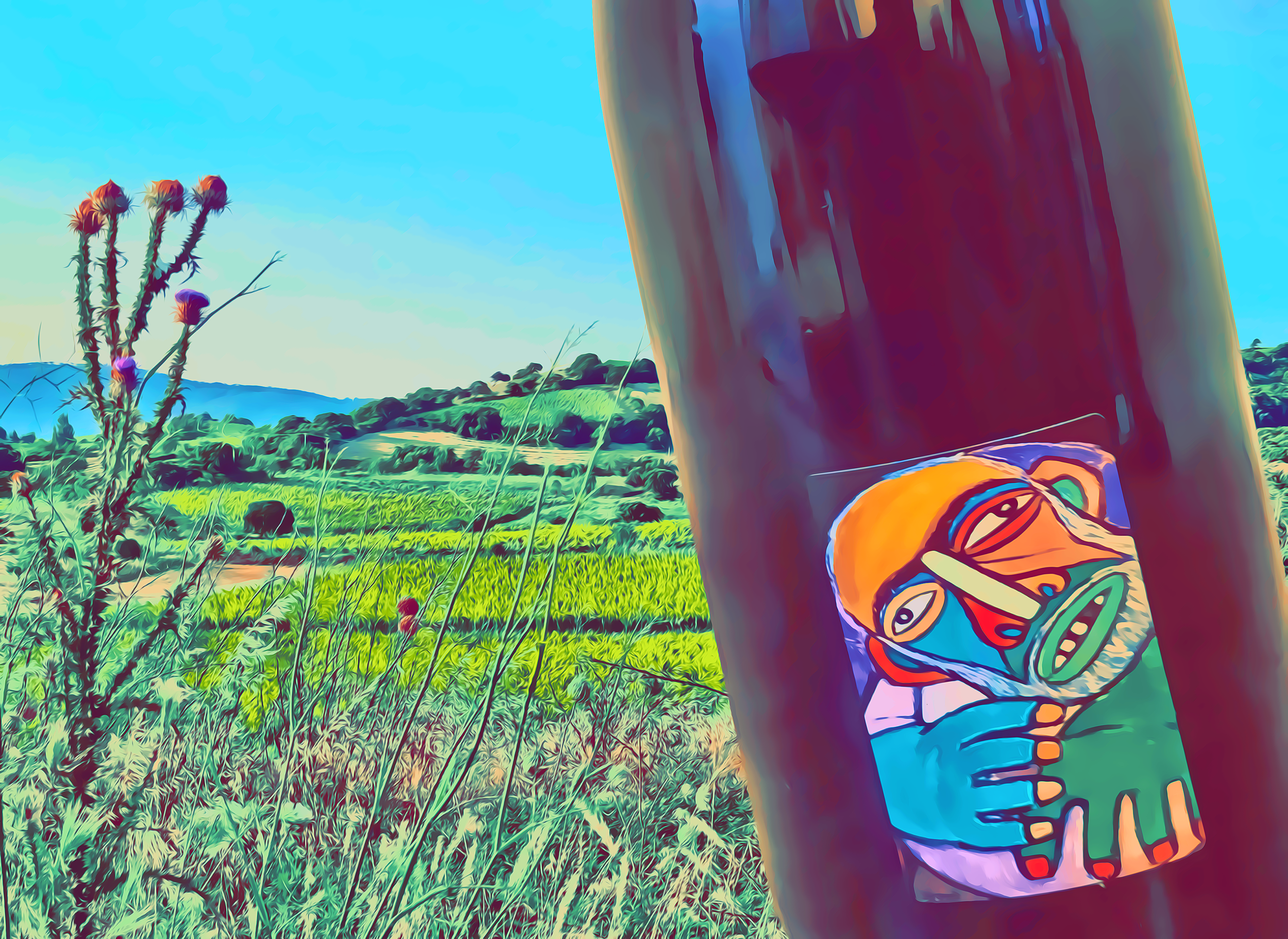 BOBOTTI 2022 di Cantina SANNAS: viaggio a MAMOIADA tra Cannonau e carnevale - Cover