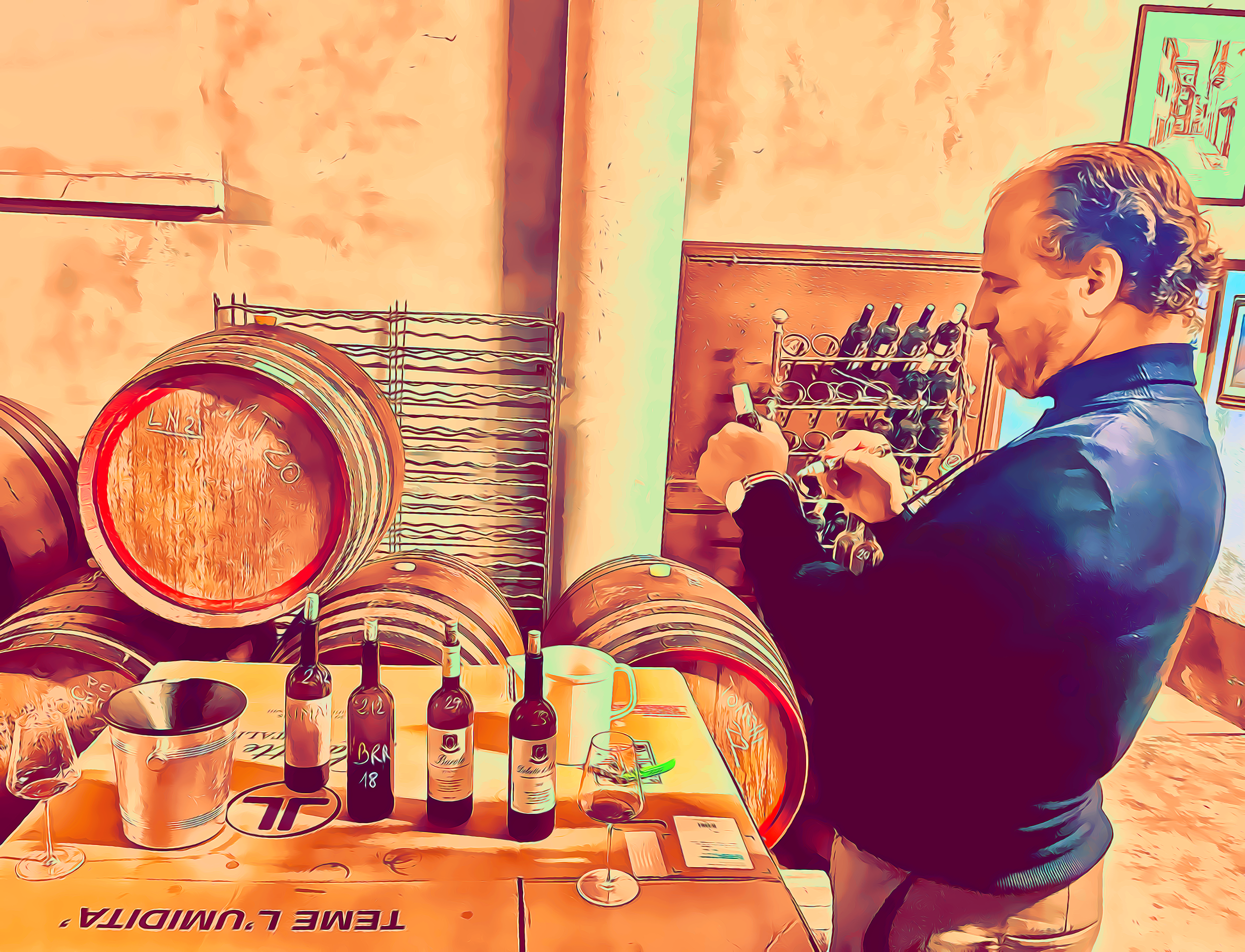 Storia di come ELIO SANDRI (Cascina Disa) mi ha spinto, felicemente, a riflettere sulla tradizione del BAROLO - Visita in cantina - Cover