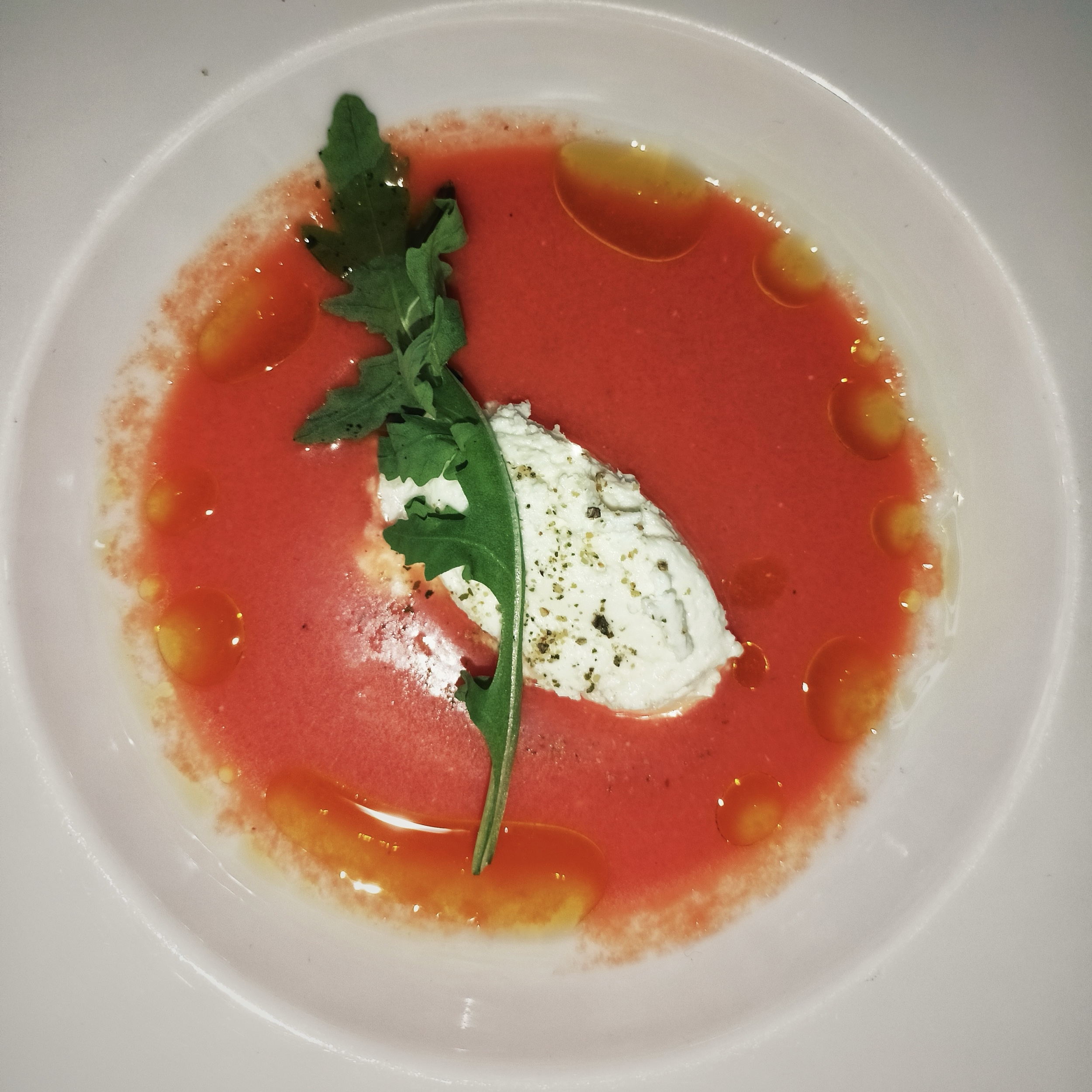 CANTINA ANTISOCIALE (Petritoli - FM) , l’enoteca psichedelica che non c'è... Ma meno male che c'è! - Gazpacho