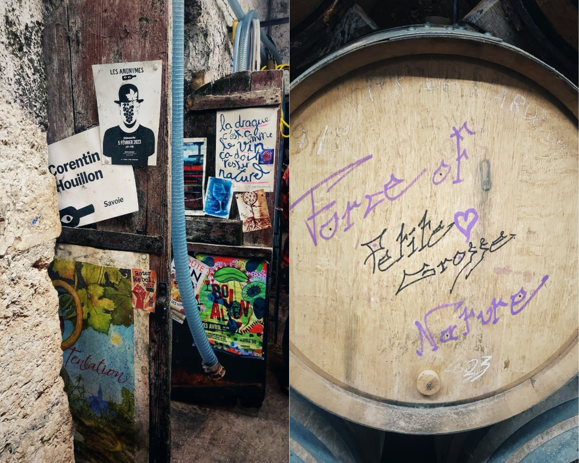 La Bassa SAVOIA è oltre: di vini, vigneron e RIVOLUZIONE culturale - Corentin Houillon