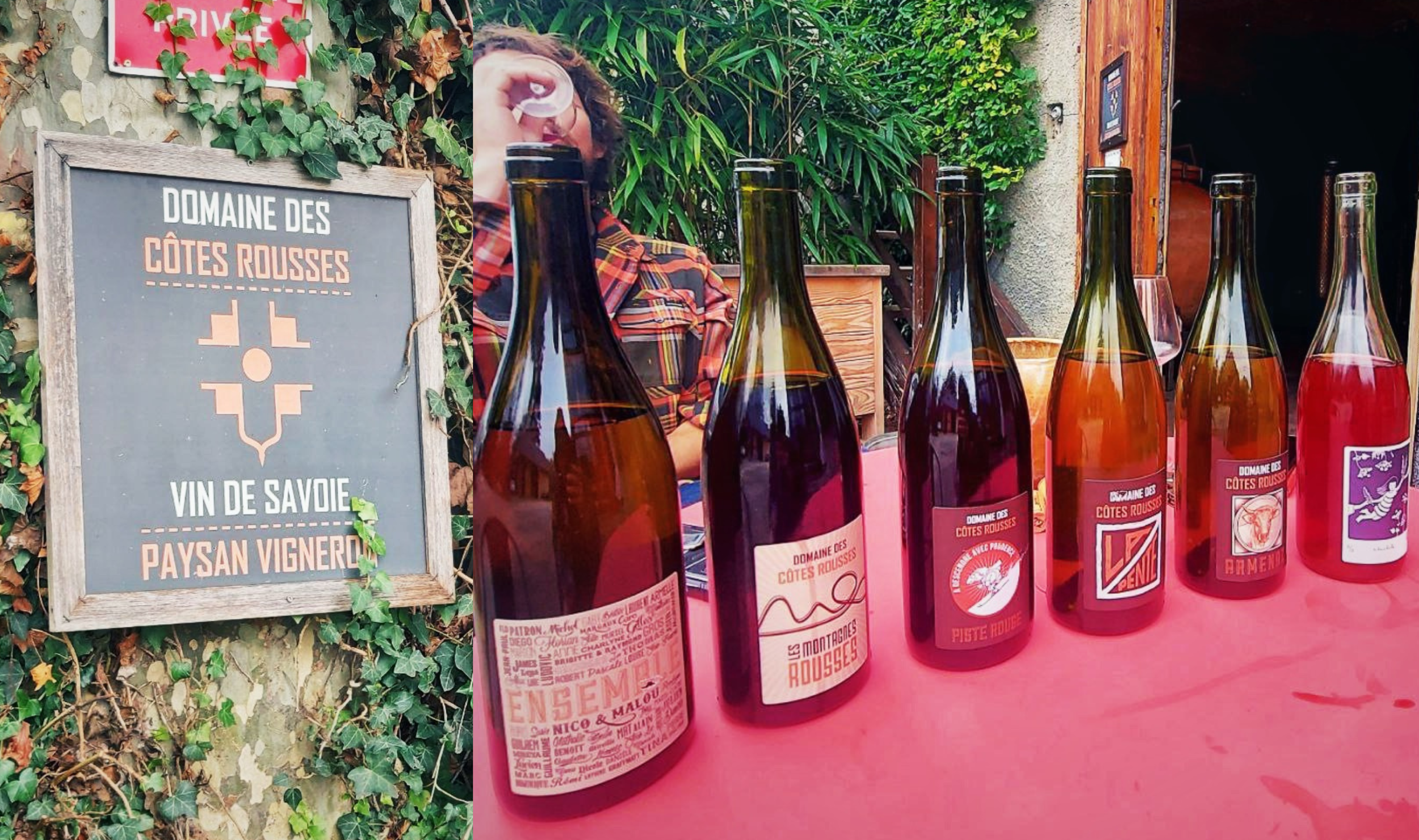 La Bassa SAVOIA è oltre: di vini, vigneron e RIVOLUZIONE culturale - Cotes Rousses