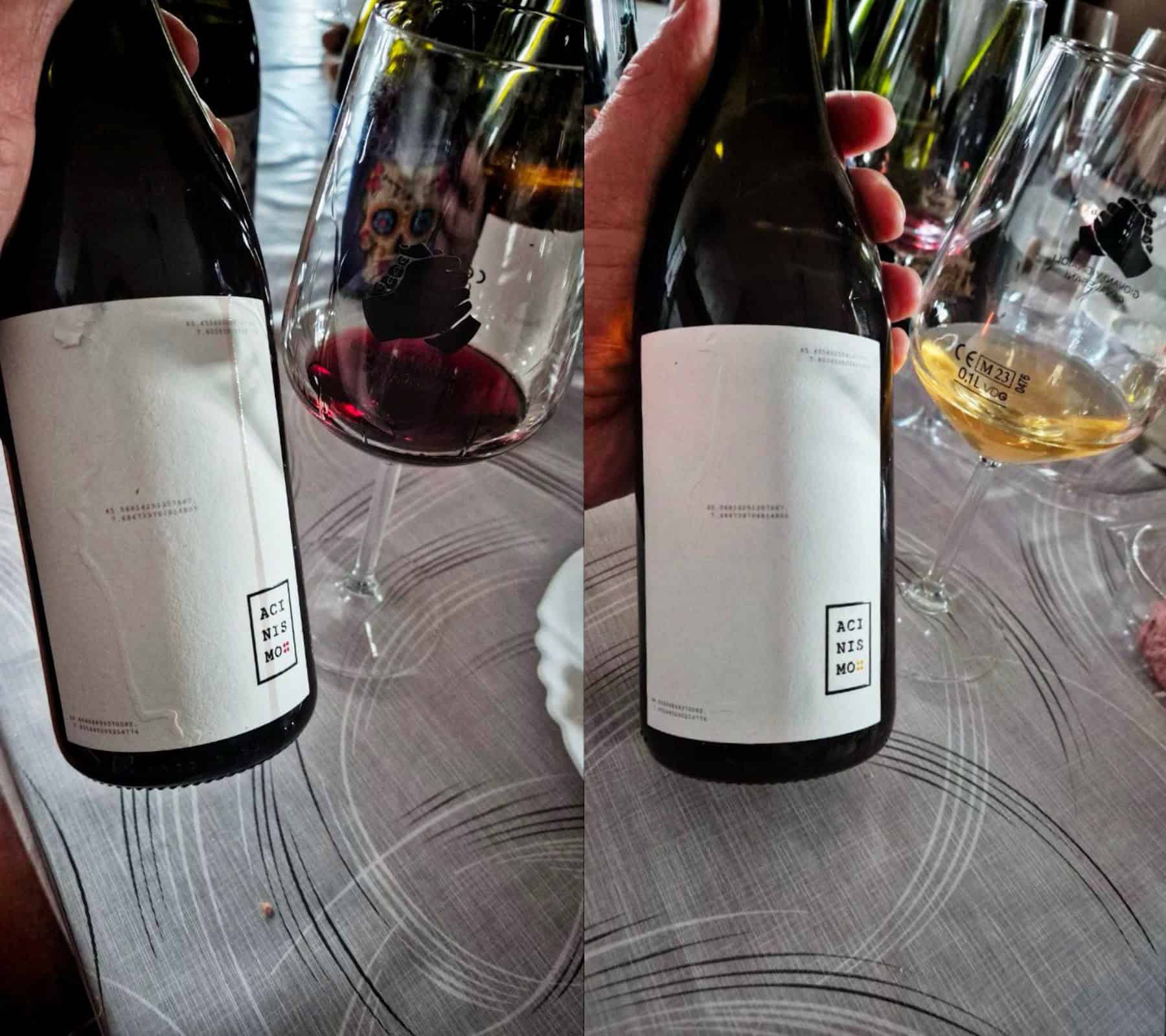 Il nome del vino in Valchiusella è VALCHYARA - Acinismo