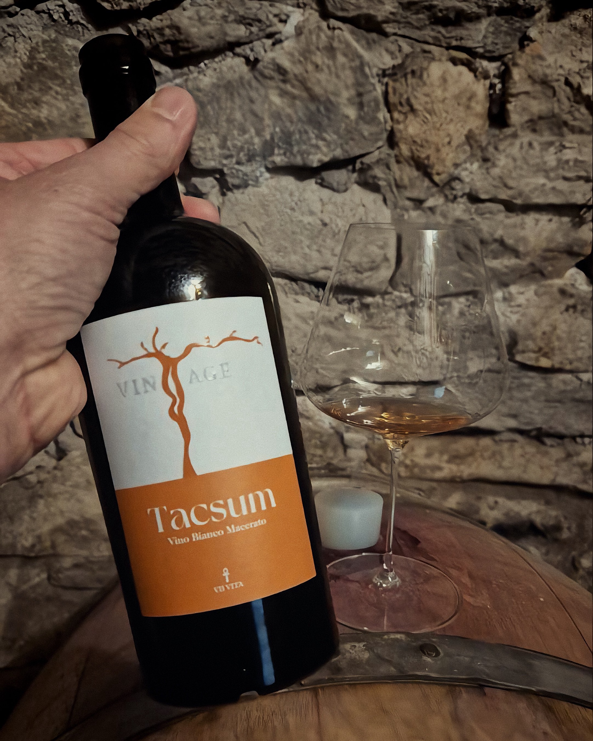 VINTAGE: i vini di Elisabetta Sedda, una storia di equilibrio tra sogno e follia - Tacsum