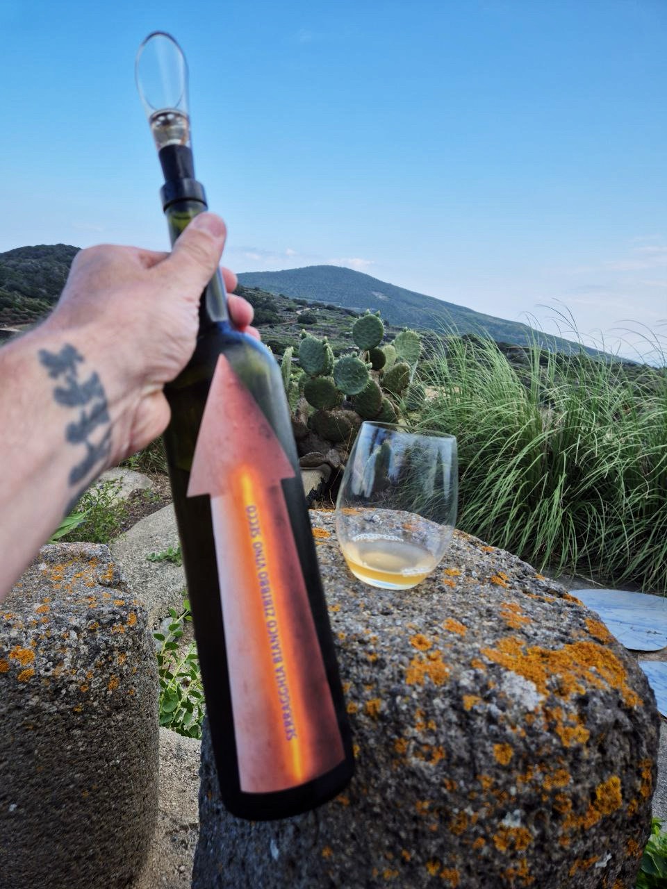 Back to PANTELLERIA #1 - Gabrio e Giotto Bini, Azienda Agricola SERRAGGHIA - Zibibbo