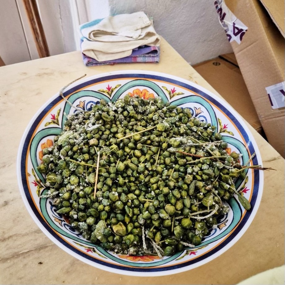 Back to PANTELLERIA #2: Battista Belvisi e la sua ABBAZIA SAN GIORGIO - Capperi