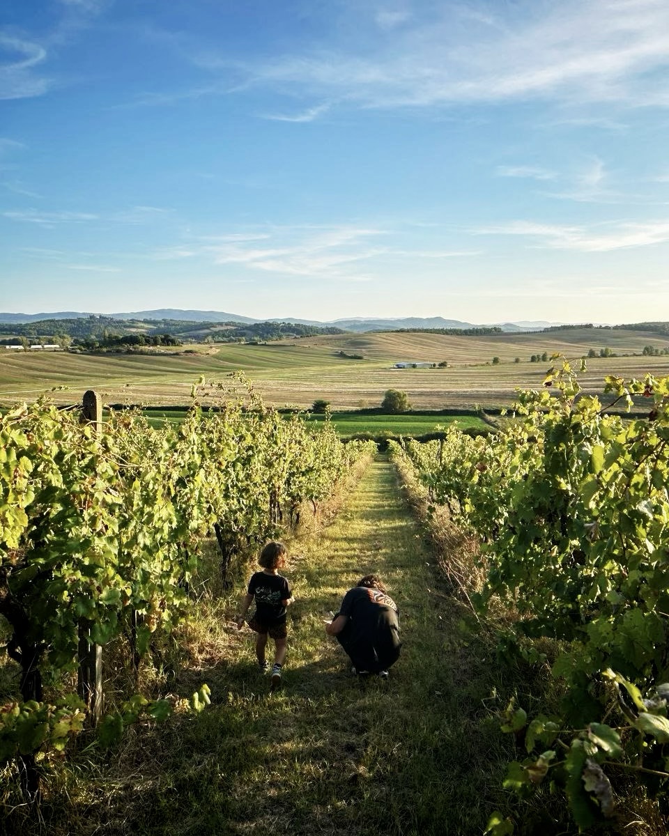 COLOMBAIA, romantica e resistente anomalia tra le colline del Chianti Senese - Chianti Senese