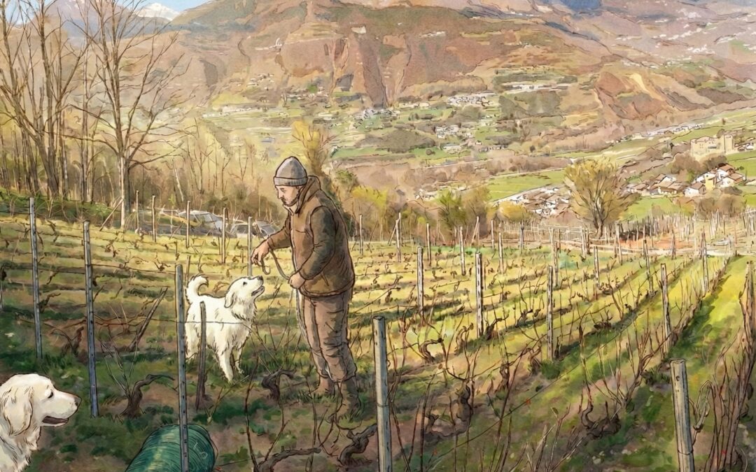 LEFFREY: l’odissea enologica di Stefano Minetti