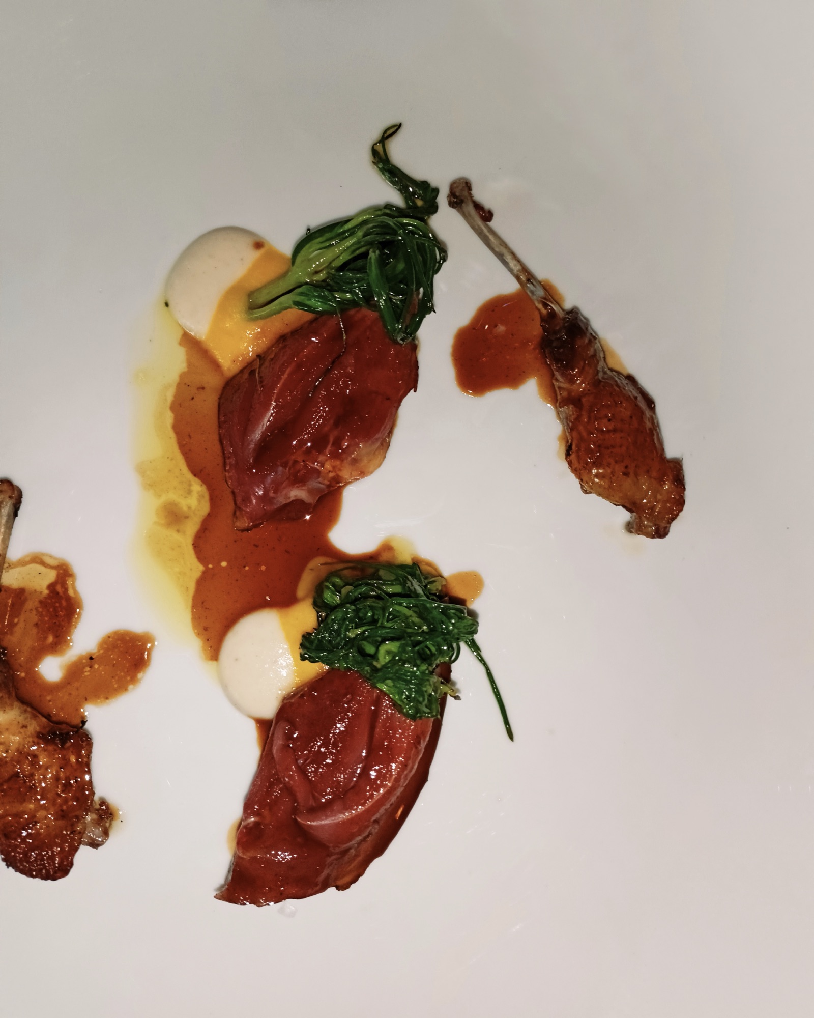 ABRUZZO magnetico #2: Trattoria Il PORCELLINO, Osteria dei MALTAGLIATI e RADICALE - Piccione