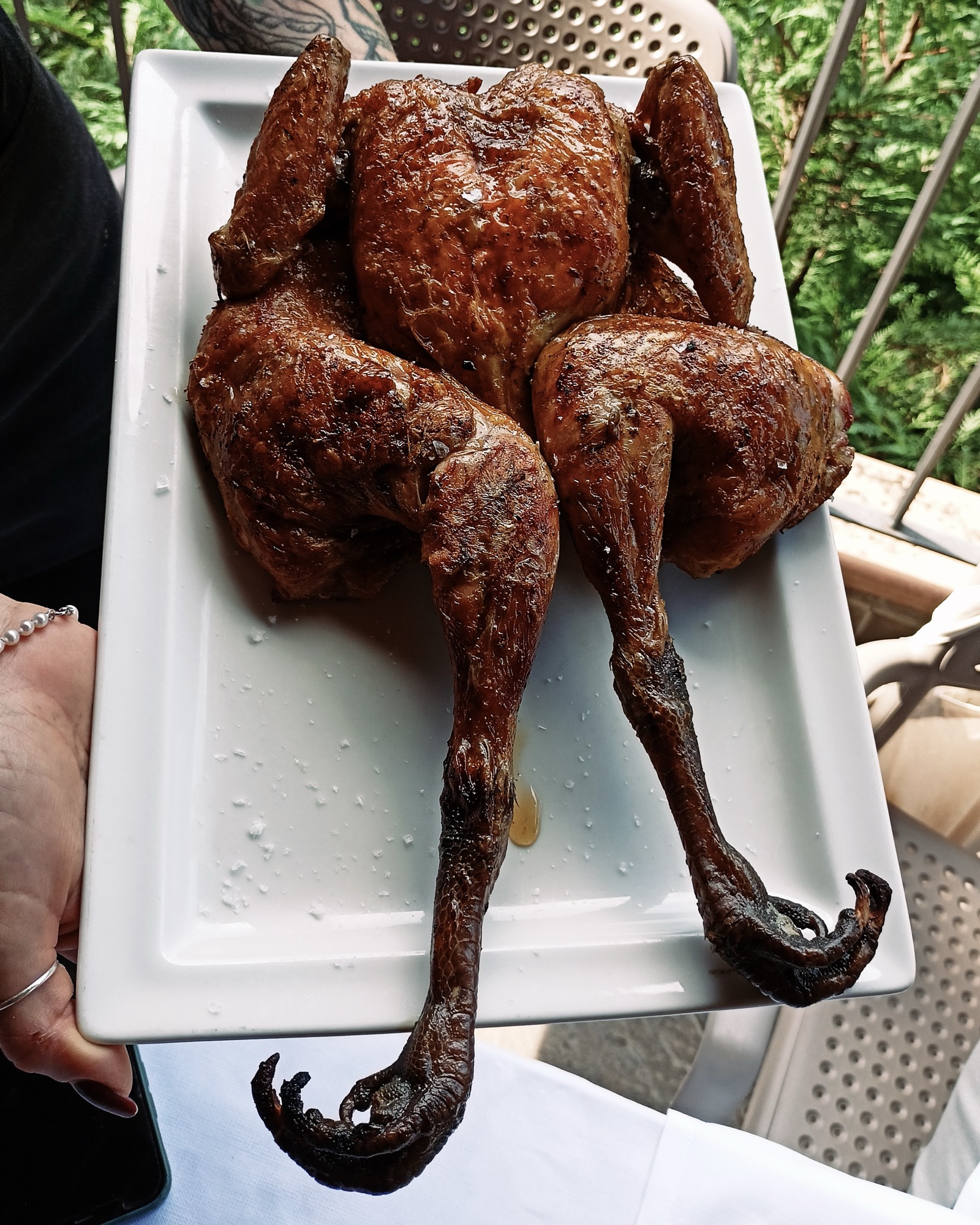 ABRUZZO magnetico #2: Trattoria Il PORCELLINO, Osteria dei MALTAGLIATI e RADICALE - Faraona